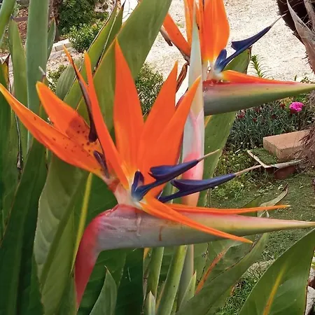 Vale & Frans Semesterbostad