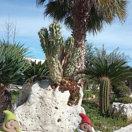 Vale & Frans Monopoli