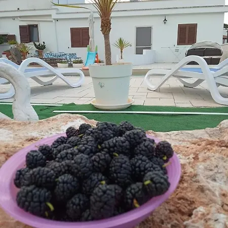 Vale & Frans Ferienhaus *