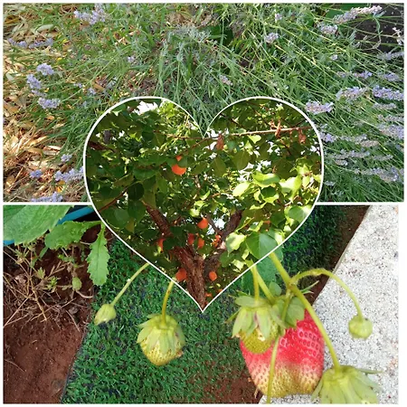 Vale & Frans Ferienhaus Monopoli