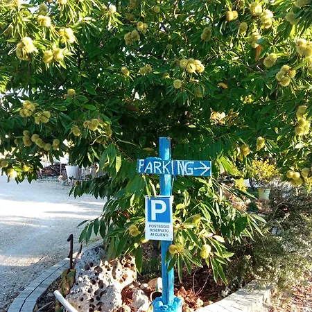 بيت للعطل Vale & Frans *